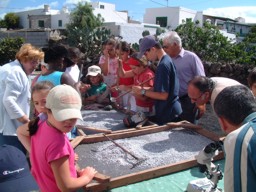 Nios llenando sacos para diseminar la cochinilla - Rescate del cultivo de la cochinilla en Mala y Guatiza (Lanzarote- Islas Canarias)