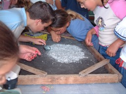 Nios observando la cochinilla - Rescate del cultivo de la cochinilla en Mala y Guatiza (Lanzarote- Islas Canarias)