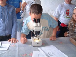 Nios  mirando por el microscopio - Rescate del cultivo de la cochinilla en Mala y Guatiza (Lanzarote- Islas Canarias)