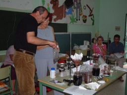 Trabajos de laboratorio - Rescate del cultivo de la cochinilla en Mala y Guatiza (Lanzarote- Islas Canarias)