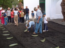 Rescate del cultivo de la cochinilla - Nios plantando tuneras
